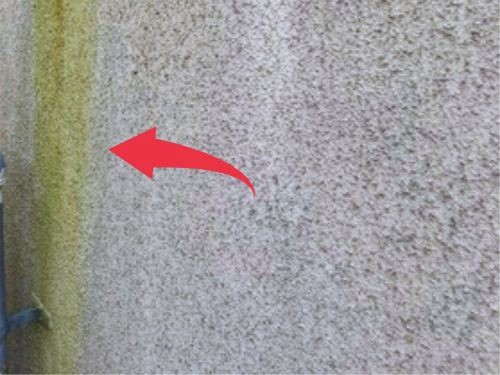 外壁塗装｜カビ繁殖の恐ろしさ【八潮市､三郷市､草加市】