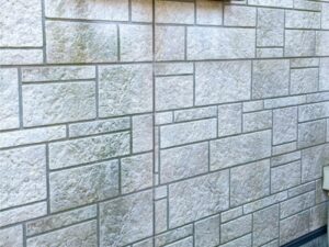 白い外壁に緑色のコケや汚れが付着している劣化状態のアップ写真